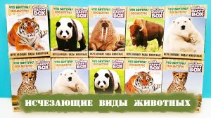 ИСЧЕЗАЮЩИЕ ВИДЫ ЖИВОТНЫХ СЮРПРИЗЫ HAPPY BOX 2020! ЭКО-игрушки из дерева Surprise toys unboxing