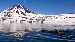 Кроноцкий заповедник на Камчатке