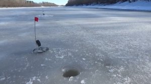 Выбор места для установки жерлиц в марте апреле. Щука на жерлицы.