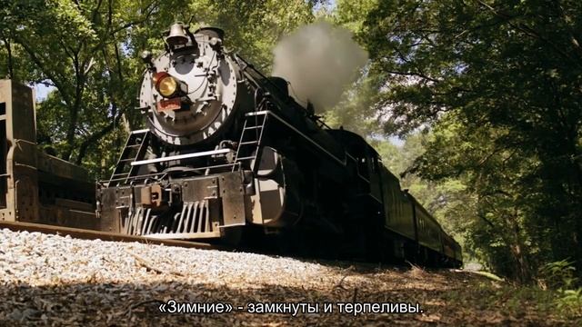 Значение имени Любомир. Толкование, судьба, характер смотреть онлайн