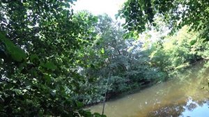 РЫБАЛКА НА ПЕРЕТЯЖКУ НА КУЗНЕЧИКА!