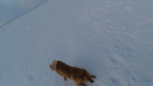 ОДИН НА ЛЬДУ Шикарная рыбалка с домашним комфортом ЧАСТЬ 3