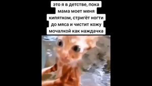ТИК ТОК | МЕМЫ | (ЧАСТЬ 37)