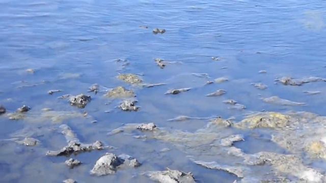 Курорт озеро Горькое,Курганская область смотреть онлайн