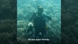 музыкальная пауза