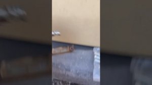 Не работает подсветка номера решение