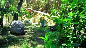 Парк Динозавров в Кемере. Tunar Travel