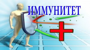 Против дефицита йода. Зелёный грецкий орех. Повышаем иммунитет.
