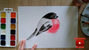 Рисуем птиц. Снегирь акварелью.