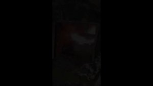 Горение лигнина в ретортной горелки