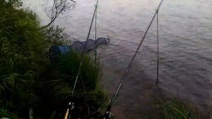 Рыбалка на Лемболовском озере. Фидерные снасти