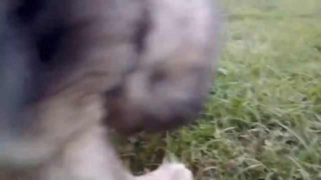 Берегите старичков... смотреть онлайн