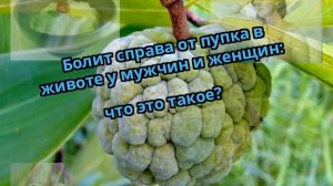 Болит справа от пупка в животе у мужчин и женщин: что это такое?