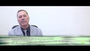 Риалам - особенности, свойства, действие, уникальность