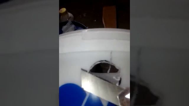 Ведро для червя Дендробена своими руками смотреть онлайн