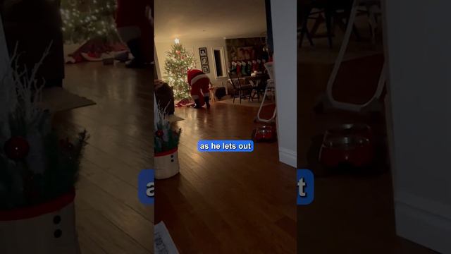 Little boys catch Santa on Christmas in magical moment ❤️