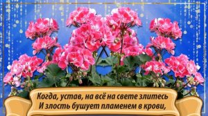 Вера Надежда Любовь и София с днем ангела! Красивое музыкальное поздравление с днем ангела