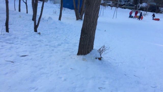 ОБКАТЫВАЕМ РЕЙЛ на сноускейте смотреть онлайн