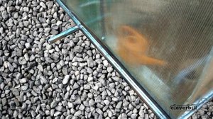 Сбор дождевой воды для полива и хозяйственных нужд