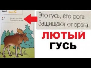 Ш.К.О.Л.А - Шизанутая Колония Одиннадцати Лет Ада. ЛЮТЫЕ ПРИКОЛЫ