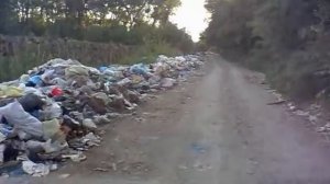 Самая культурная нация