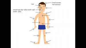 Grade 5  Excel  Unit 2  Body parts