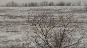 Охота в Камышинском районе Волгоградской области