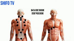 Болезни печени! Жигар касаллиги муолажаси! +79523517982 Санкт-Петербург