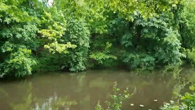 Парки и скверы Калининграда. Парк Южный Часть1.