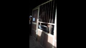 Экскурсия детей в конный клуб "Гармония"