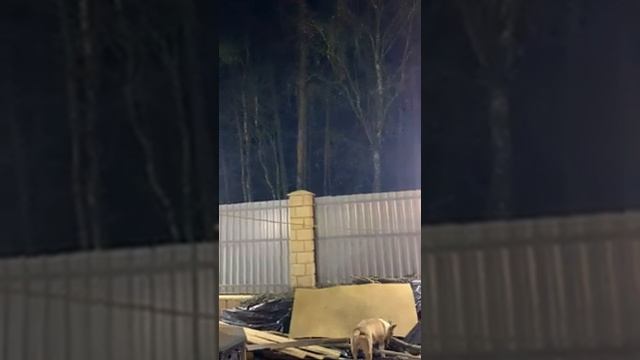 ВЕЧЕРНЯЯ БЕСЕДА…. смотреть онлайн