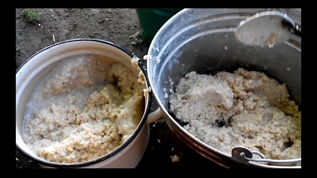 Кормление крупного рогатого скота смотреть онлайн