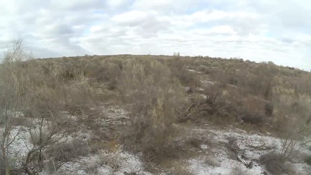 ОХОТА НА ЗАЙЦА. АКЖАР. (12-14 января 2018г.) смотреть онлайн