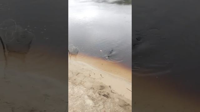 Надым рыбалка 2017 30 июня смотреть онлайн