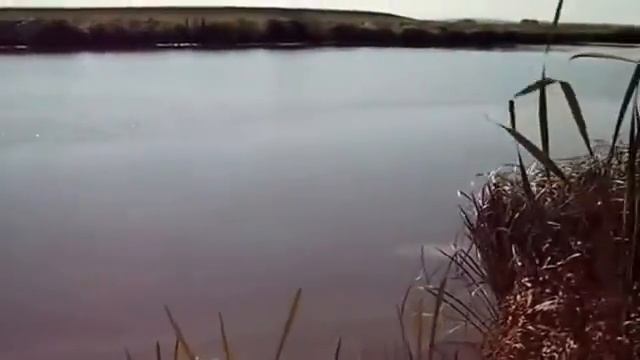 КАРАСЬ НА УДОЧКУ! Такая рыбалка смотреть онлайн