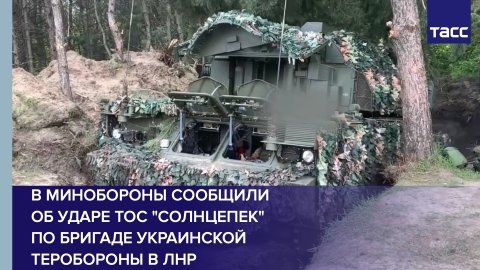 В Минобороны сообщили об ударе ТОС "Солнцепек" по бригаде украинской теробороны в ЛНР