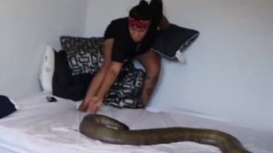 Putting The 2nd Largest SNAKE In HER BED She CRIED.mp4