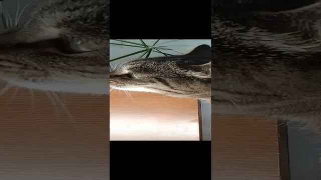Добавить музыку к видео_VID_20220814_145645.mp4