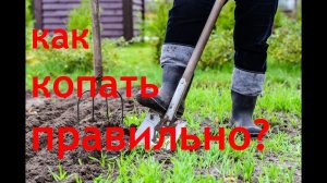 Как копать чтобы не болела спина.