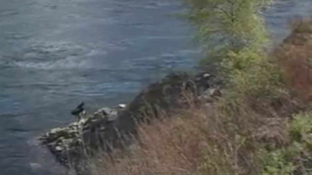 Символ России смотреть онлайн