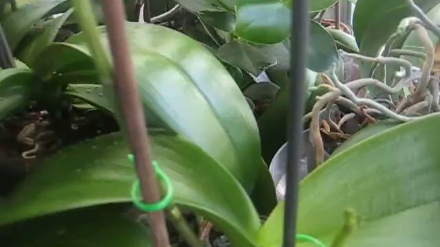 16 DICIEMBRE 2013 смотреть онлайн