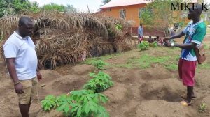 FARMING IN SIERRA LEONE🇸🇱! I TOUR A FARM OWN BY A TEACHER