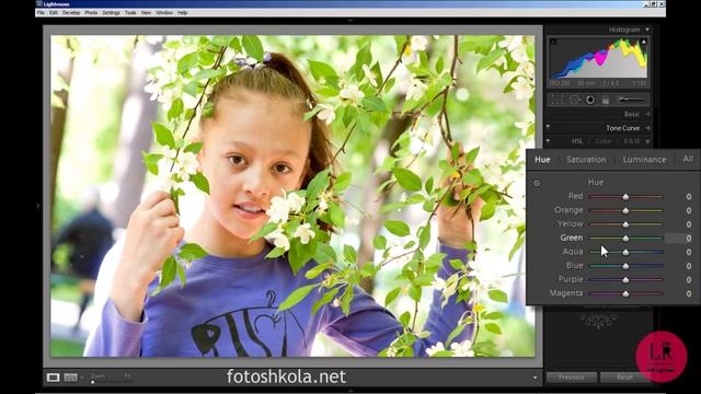 PRO Lightroom: Как работать с цветом. Обработка фотографий. Цветокоррекция. фотошоп уроки смотреть онлайн