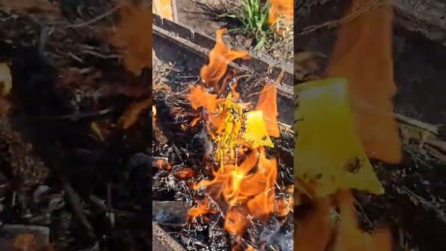 Чистка. Шикарно??? смотреть онлайн