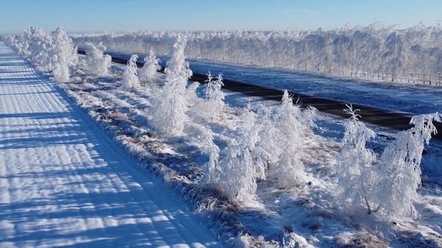зимняя сказка смотреть онлайн