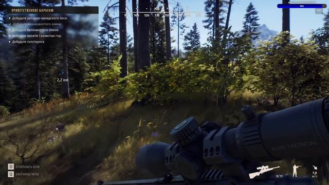 Стрим Way of the Hunter #10 - Охота на Оленя Вапити. Охота и Общение смотреть онлайн