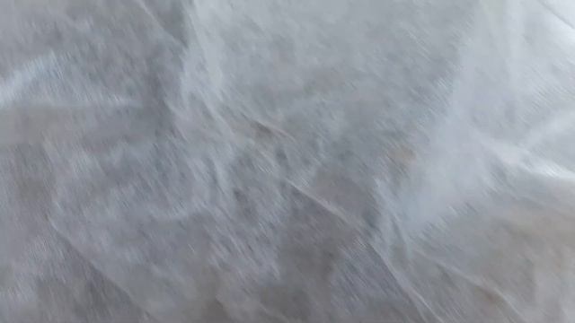 Морошка редкое растение в саду.Питомник садовой морошки и княженики.Состав грунта,описание посадки.