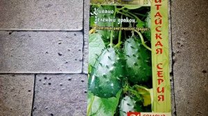 Кивано Зелёный дракон - что это за фрукт, описание