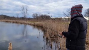 Рыбалка в Америке, ловля басса на спиннинг в пригороде Чикаго. Fishing in the USA. Bass