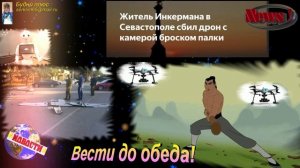 Житель Севастополя сбил БПЛА с камерой палкой